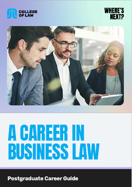 A Career in business law